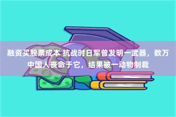 融资买股票成本 抗战时日军曾发明一武器，数万中国人丧命于它，结果被一动物制裁