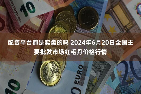 配资平台都是实盘的吗 2024年6月20日全国主要批发市场红毛丹价格行情