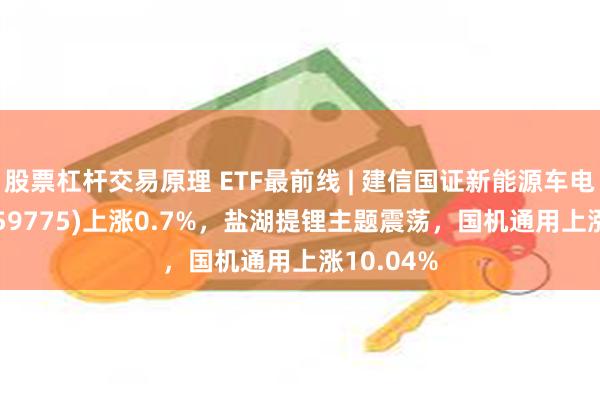 股票杠杆交易原理 ETF最前线 | 建信国证新能源车电池ETF(159775)上涨0.7%，盐湖提锂主题震荡，国机通用上涨10.04%