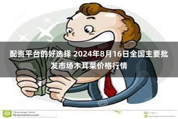 配资平台的好选择 2024年8月16日全国主要批发市场木耳菜价格行情