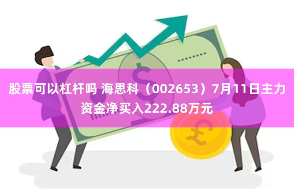 股票可以杠杆吗 海思科（002653）7月11日主力资金净买入222.88万元