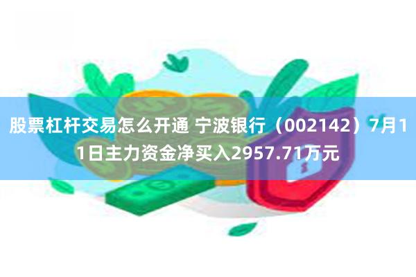 股票杠杆交易怎么开通 宁波银行（002142）7月11日主力资金净买入2957.71万元