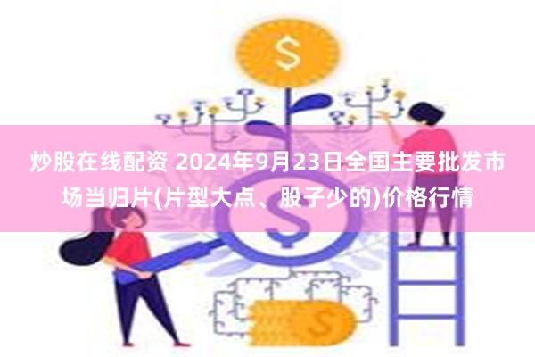 炒股在线配资 2024年9月23日全国主要批发市场当归片(片型大点、股子少的)价格行情