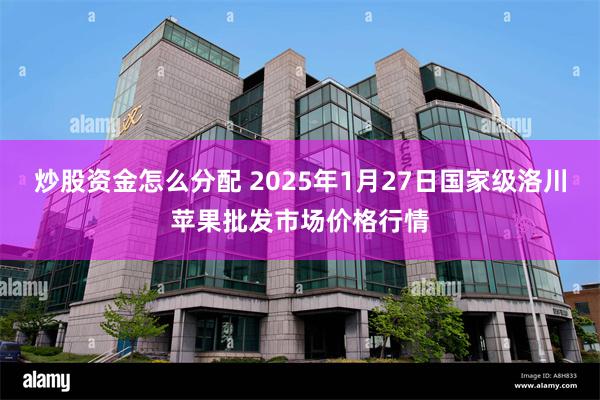 炒股资金怎么分配 2025年1月27日国家级洛川苹果批发市场价格行情