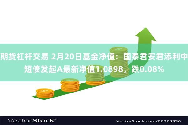 期货杠杆交易 2月20日基金净值：国泰君安君添利中短债发起A最新净值1.0898，跌0.08%