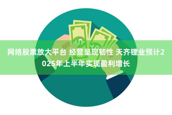 网络股票放大平台 经营呈现韧性 天齐锂业预计2025年上半年实现盈利增长