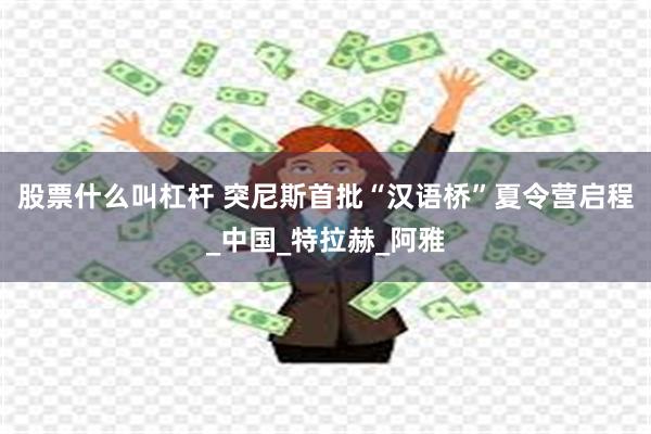股票什么叫杠杆 突尼斯首批“汉语桥”夏令营启程_中国_特拉赫_阿雅