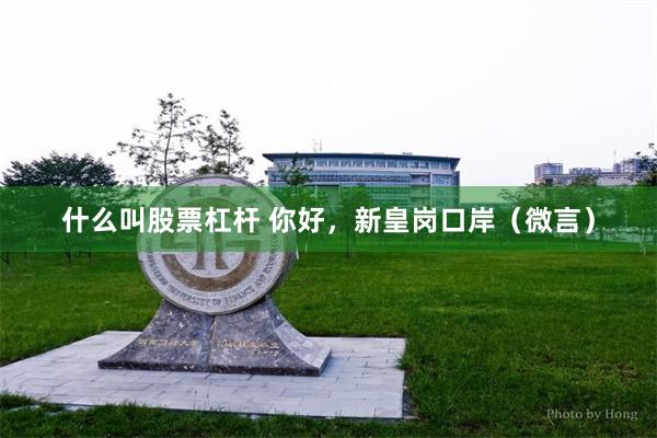 什么叫股票杠杆 你好，新皇岗口岸（微言）